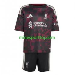 Liverpool Børne Tredje Fodboldtrøje 2026-2027 Lange Ærmer