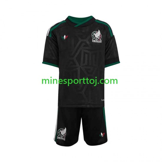 Mexico 2026 Børne Tredje Fodboldtrøje Lange Ærmer