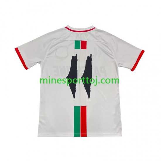 Club Deportivo Palestino Center Stripre Herre Udebane Fodboldtrøje 2024-2025 Lange Ærmer