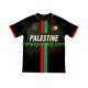 Club Deportivo Palestino Center Stripre Herre Hjemmebane Fodboldtrøje 2024-2025 Lange Ærmer