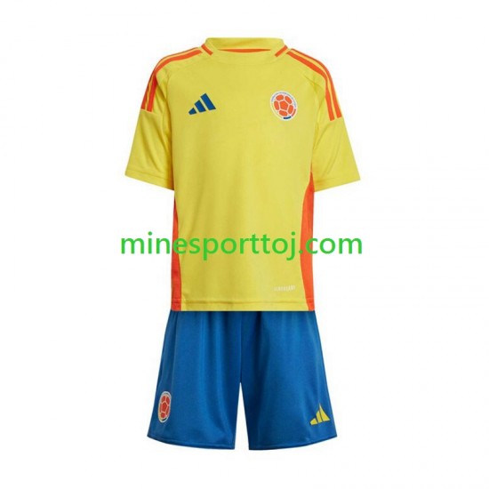 Colombia Copa America 2024 Børne Hjemmebane Fodboldtrøje Lange Ærmer