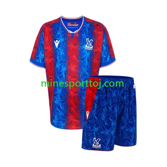 Crystal Palace Børne Hjemmebane Fodboldtrøje 2024-2025 Lange Ærmer