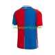 Crystal Palace Herre Hjemmebane Fodboldtrøje 2023-2024 Lange Ærmer