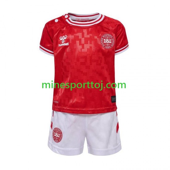 Danmark Euro 2024 Børne Hjemmebane Fodboldtrøje Lange Ærmer