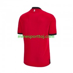 Georgia Euro 2024 Herre Tredje Fodboldtrøje Lange Ærmer