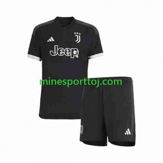 Juventus Børne Tredje Fodboldtrøje 2023-2024 Lange Ærmer