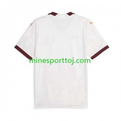 Manchester City Herre Udebane Fodboldtrøje 2023-2024 Lange Ærmer