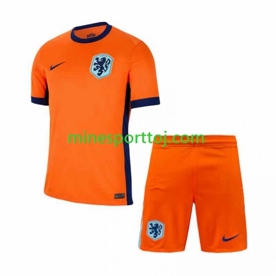 Holland Euro 2024 Børne Hjemmebane Fodboldtrøje Lange Ærmer