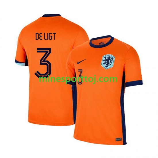 Holland Matthijs de Ligt 3 Euro 2024 Herre Hjemmebane Fodboldtrøje Lange Ærmer
