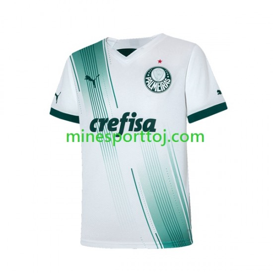 Palmeiras Herre Udebane Fodboldtrøje 2023-2024 Lange Ærmer
