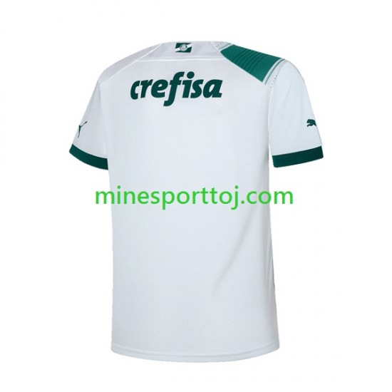Palmeiras Herre Udebane Fodboldtrøje 2023-2024 Lange Ærmer