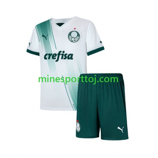 Palmeiras Børne Udebane Fodboldtrøje 2023-2024 Lange Ærmer