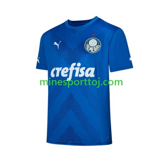 Palmeiras Målmand Herre Hjemmebane Fodboldtrøje 2023-2024 Lange Ærmer