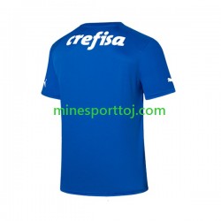 Palmeiras Målmand Herre Hjemmebane Fodboldtrøje 2023-2024 Lange Ærmer