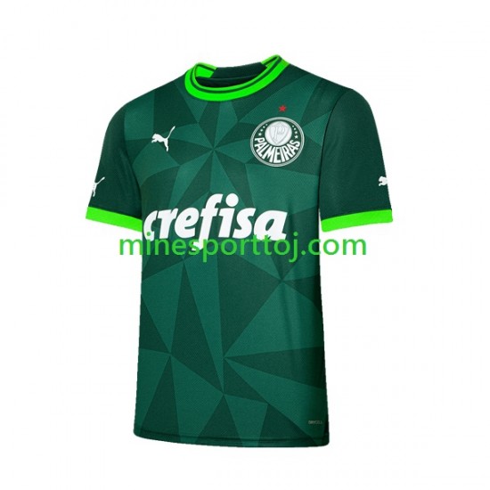 Palmeiras Herre Hjemmebane Fodboldtrøje 2023-2024 Lange Ærmer