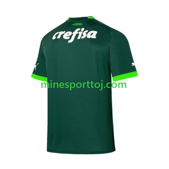 Palmeiras Herre Hjemmebane Fodboldtrøje 2023-2024 Lange Ærmer
