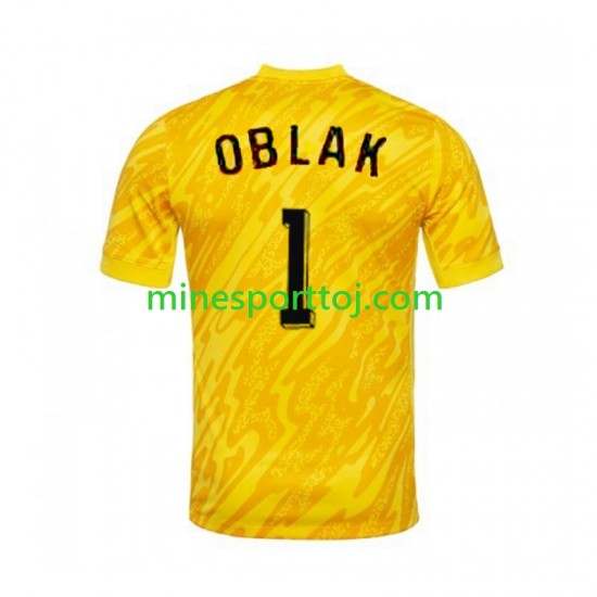 Slovenien Målmand Jan Oblak 1 Euro 2024 Herre Hjemmebane Gul Fodboldtrøje Lange Ærmer
