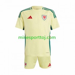 Wales 2024 Børne Udebane Fodboldtrøje Lange Ærmer