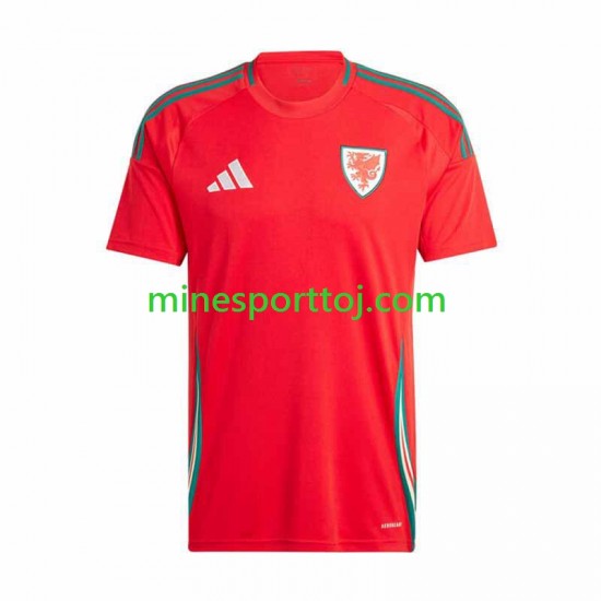 Wales 2024 Herre Hjemmebane Fodboldtrøje Lange Ærmer Wales 2024 Herre Hjemmebane Fodboldtrøje Lange Ærmer