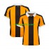 Hull City Herre Hjemmebane Fodboldtrøje 2026-2027 Lange Ærmer
