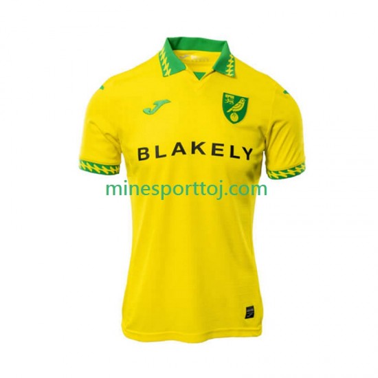 Norwich City Herre Hjemmebane Fodboldtrøje 2025-2026 Lange Ærmer