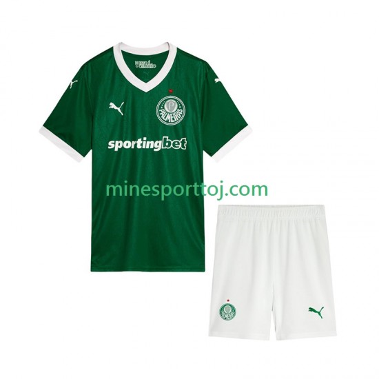 Palmeiras Børne Hjemmebane Fodboldtrøje 2025-2026 Lange Ærmer