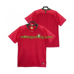 Portugal 2018 Herre Retro Hjemmebane Fodboldtrøje Lange Ærmer