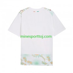 Elfenbenskysten Herre Udebane Fodboldtrøje VM 2026 Lange Ærmer